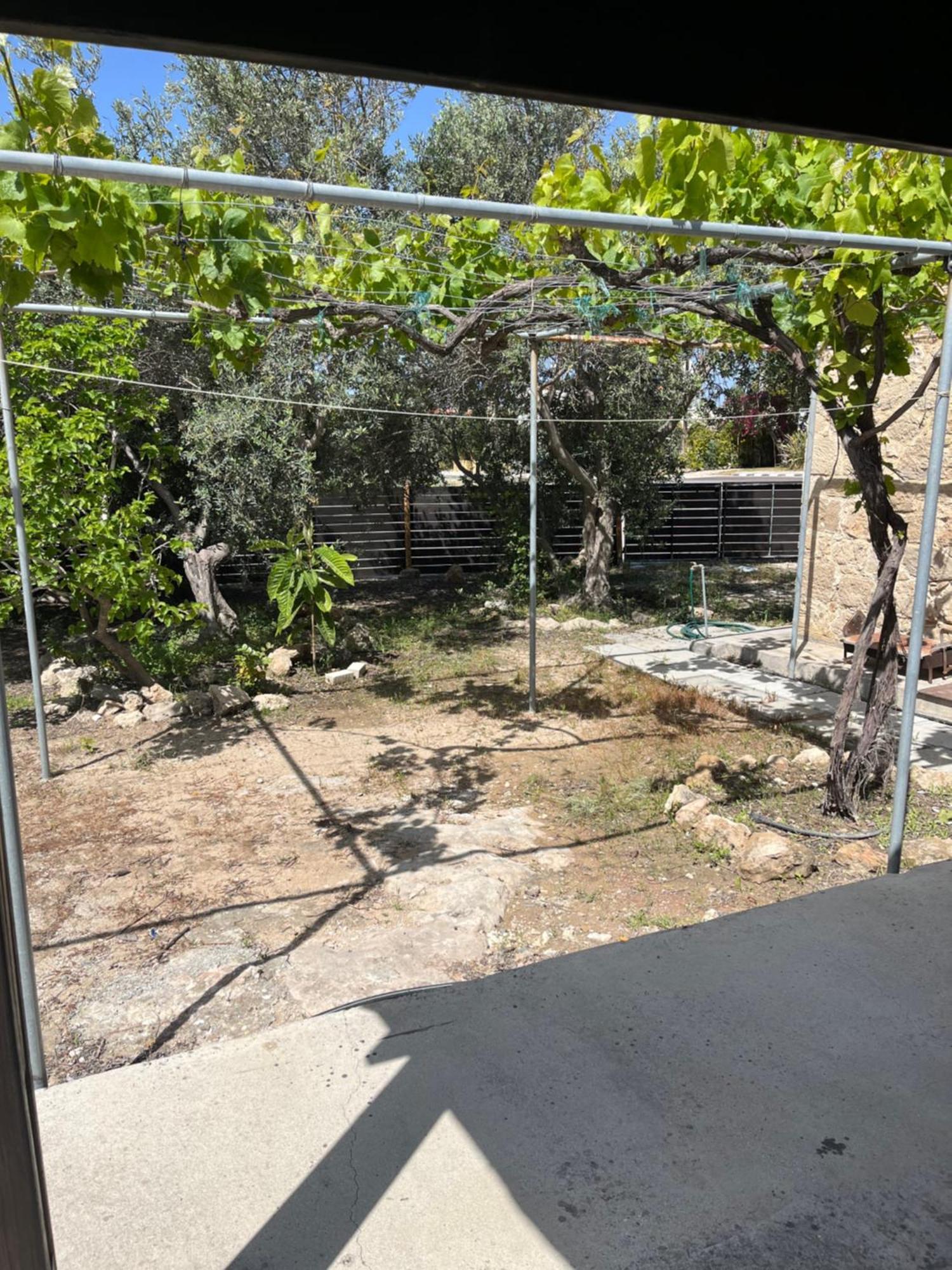 Friendly Villagehouse Paphos ภายนอก รูปภาพ